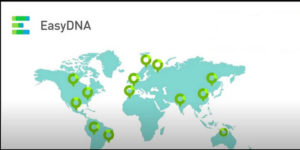 EasyDNA, Online-DNA-Testdienst