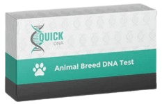 Test de Génétique Animale